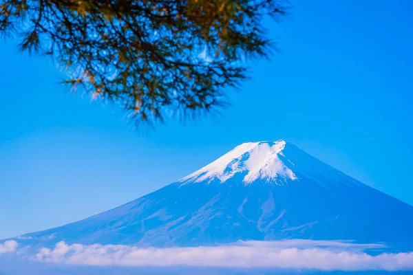 Bela Paisagem Fuji Montanha Torno Árvore Folha Bordo Com Nuvem — Fotografia de Stock