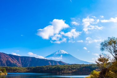 Güzel manzara dağ fuji göl Yamanashi Japonya akçaağaç ağaç yaprak ile
