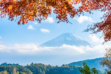 Güzel manzara dağ fuji göl Yamanashi Japonya akçaağaç ağaç yaprak ile