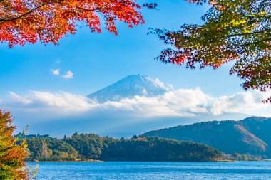 Güzel manzara dağ fuji göl Yamanashi Japonya akçaağaç ağaç yaprak ile