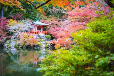 Renkli ağaç ve yaprak sonbahar sezonu Kyoto Japonya ile güzel Daigoji Tapınağı