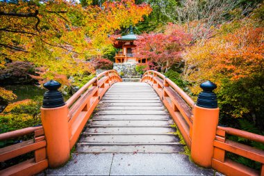 Renkli ağaç ve yaprak sonbahar sezonu Kyoto Japonya ile güzel Daigoji Tapınağı