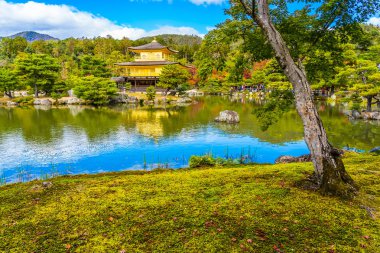 Güzel Kinkakuji Tapınağı Kyoto Japonya'nın Altın Köşk Simgesel Yapı ile