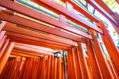 Güzel fushimi Inari tapınak tapınak Kyoto Japonya'da