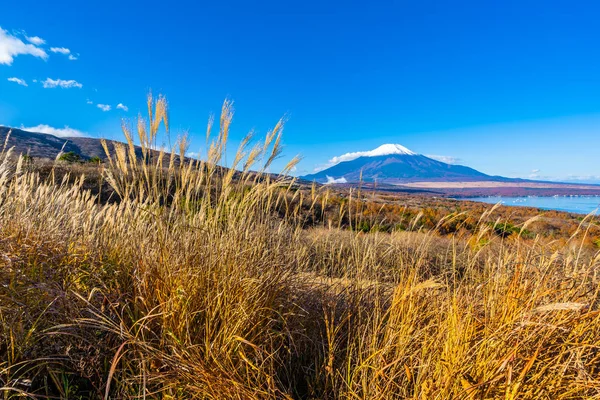 秋の季節に日本の山中湖や山中湖の富士山の美しい風景 — ストック写真