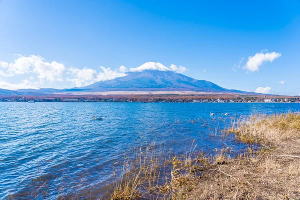 Güzel Manzara Dağ Fuji Yamanakako Gölü Japonya Çevresinde — Stok fotoğraf