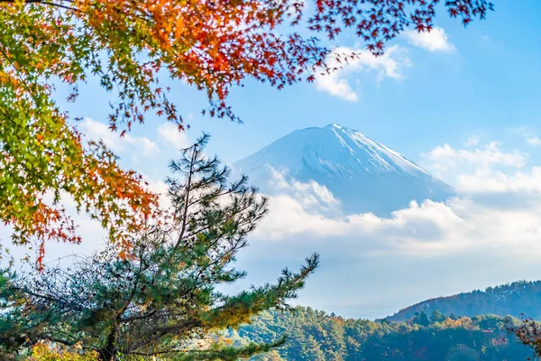 Beautiful Landscape Mountain Fuji Maple Leaf Tree Lake Yamanashi Japan — Stock Photo, Image