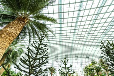 Çiçek kubbe Bahçe ve sera orman landmark Singapur City seyahat için bina güzel mimari
