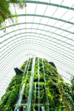 Çiçek kubbe Bahçe ve sera orman landmark Singapur City seyahat için bina güzel mimari