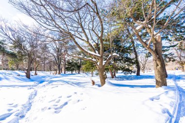 Kar kış sezonu için seyahat Hokkaido Japonya ağacında ile güzel manzara