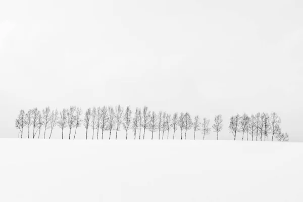 Gyönyörű Szabadtéri Természeti Táj Ága Téli Szezonban Hokkaido Japán Fekete — Stock Fotó