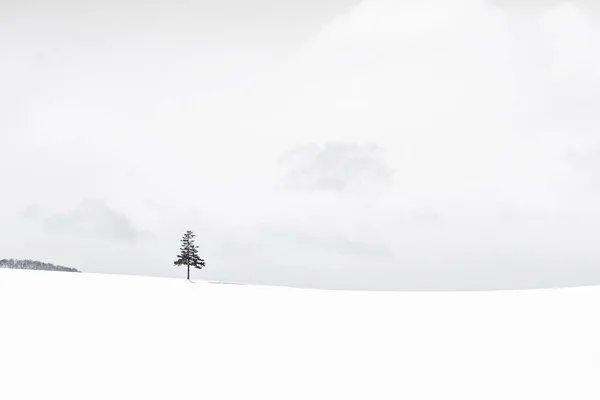 Красивый Пейзаж Рождественская Елка Зимний Снежный Сезон Копировальным Пространством — стоковое фото