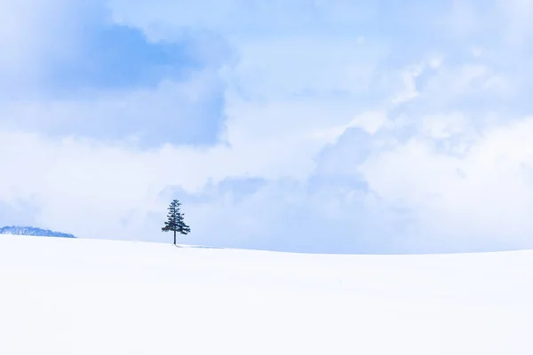 Hermoso Paisaje Naturaleza Aire Libre Árbol Navidad Temporada Nieve Invierno — Foto de Stock