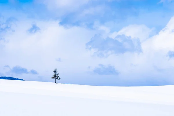 Prachtige Buiten Natuur Landschap Kerstboom Sneeuw Winterseizoen Met Kopie Ruimte — Stockfoto