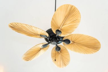 Elektrikli tavan fan dekorasyon inteior Oda