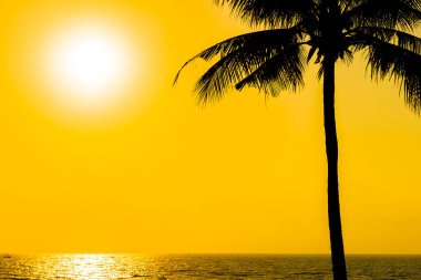 Güzel siluet Hindistan cevizi hurma ağacı gökyüzü neary deniz okyanus plaj tatil için günbatımı veya gündoğumu zaman seyahat ve tatil kavramı