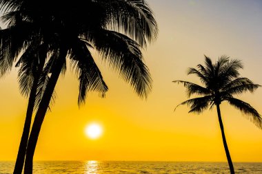 Güzel siluet Hindistan cevizi hurma ağacı gökyüzü neary deniz okyanus plaj tatil için günbatımı veya gündoğumu zaman seyahat ve tatil kavramı