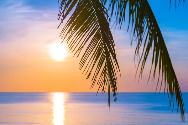 Beautiful Outdoor Tropical Landscape Sea Ocean Beach Coconut Palm Tree — Stock Photo, Image