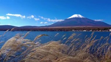 fuji dağı yakınlarında güneşli bir günde güzel göl manzara görüntüleri, Japonya