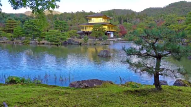 Szenische Aufnahmen Schöner Traditioneller Japanischer Pagode — Stockvideo