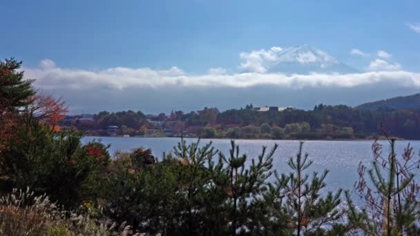 Imagens Cênicas Belo Lago Dia Ensolarado Perto Montanha Fuji Japão — Vídeo de Stock