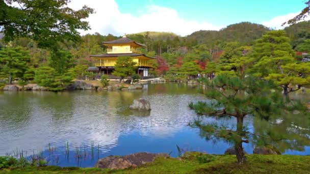 Riprese Sceniche Bella Pagoda Tradizionale Giapponese — Video Stock
