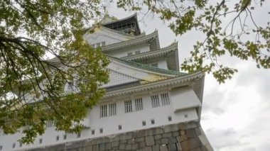 güzel geleneksel Japon pagoda doğal görüntüleri