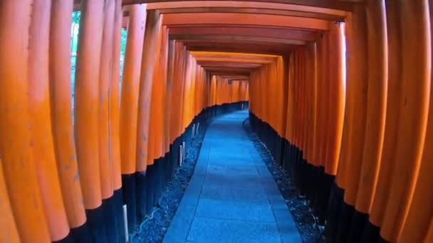 Riprese Panoramiche Della Porta Tori Attorno Tempio Fushimi Inari Kyoto — Video Stock