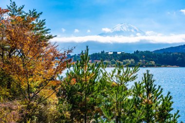 Dağ fuji akçaağaç yaprağı ağaç göl sonbahar sezonu ile güzel manzara