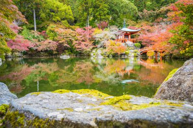 Renkli ağaç ve yaprak sonbahar sezonu Kyoto Japonya ile güzel Daigoji Tapınağı