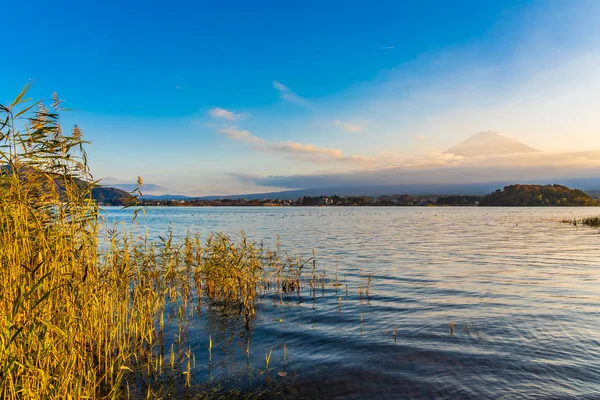 Vackert Landskap Berg Fuji Med Lönn Löv Runt Sjön Höstsäsongen — Stockfoto