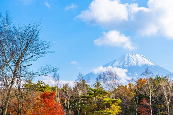 Hegyi Fuji Maple Leaf Őszi Szezonban Japán Körül Gyönyörű Táj — Stock Fotó