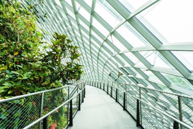Çiçek kubbe Bahçe ve sera orman landmark Singapur City seyahat için bina güzel mimari