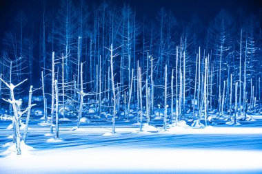 Mavi Göl nehir karda ışığı ile gece biei Japonya Hokkaido adlı kış sezonu ile güzel açık peyzaj
