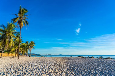 Hua hin Tayland hindistan cevizi palmiye ağacı ile deniz okyanusu ve plaj Güzel açık manzara