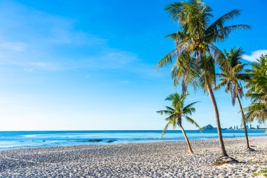 Hua hin Tayland hindistan cevizi palmiye ağacı ile deniz okyanusu ve plaj Güzel açık manzara
