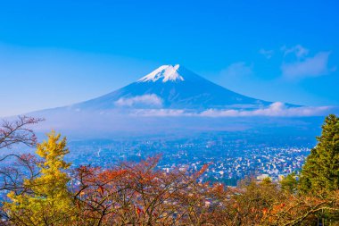 Güzel manzara dağ fuji akçaağaç yaprağı ağacında çevresinde bir