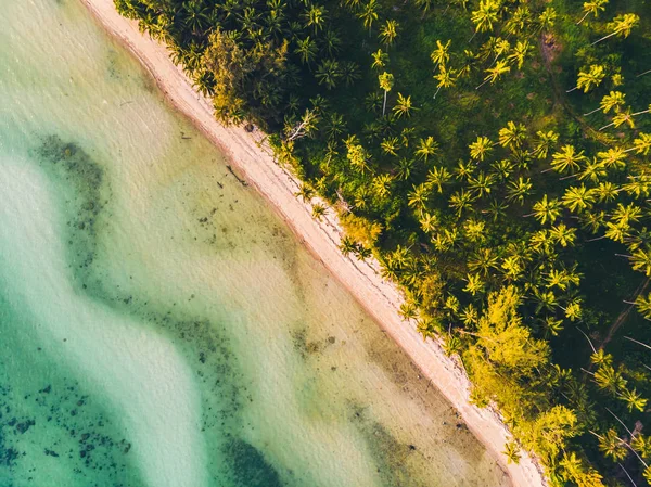 Вид с воздуха на красивый тропический пляж и море с деревьями на является — стоковое фото