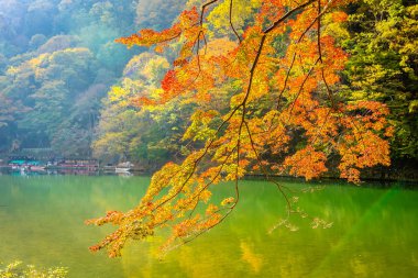 Akçaağaç ağaç yaprak ve etrafında tekne ile güzel Arashiyama Nehri 