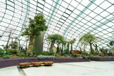 Çiçek kubbe Bahçesi ve greenhous bina güzel mimari