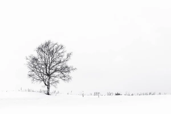 Hermoso paisaje con árbol solitario en la temporada de invierno de nieve — Foto de Stock
