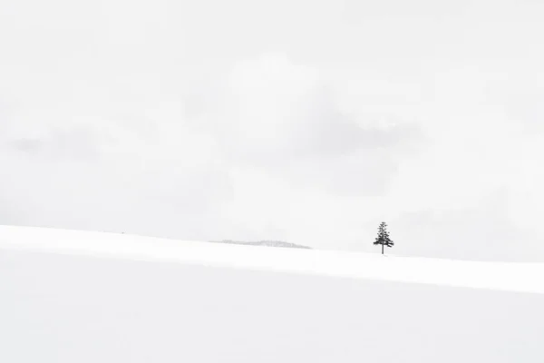 Bela paisagem natural ao ar livre com árvore de Natal no inverno — Fotografia de Stock