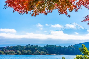 Dağ fuji ile akçaağaç yaprağı ağacın etrafında güzel manzara