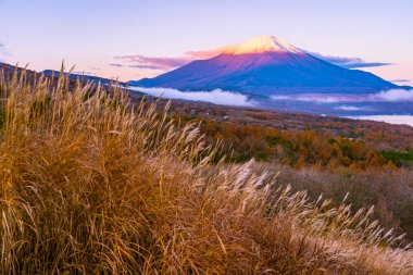Yamanakako ya da yamanaka göl güzel fuji Dağı