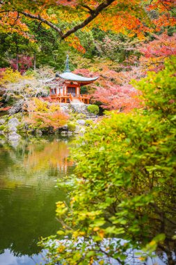 Güzel Daigoji Tapınağı ile renkli ağaç ve yaprak sonbahar s