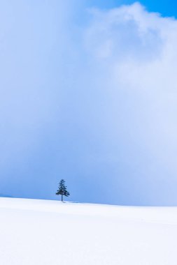 Güzel açık doğa manzara ile Noel ağacı kışın