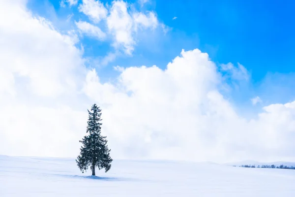 Hermoso paisaje de naturaleza al aire libre con solo árbol de Navidad en — Foto de Stock