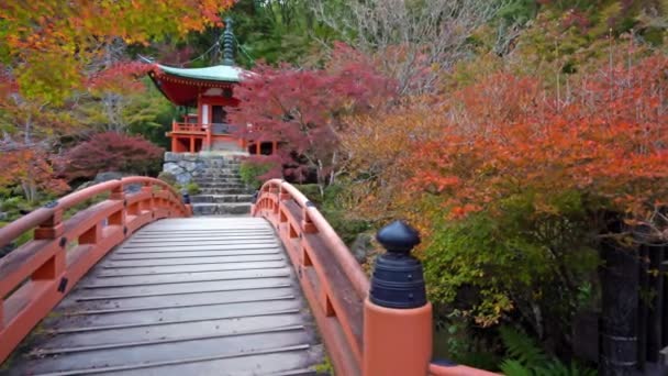 Scenic Footage Beautiful Traditional Japanese Pagoda — Stock Video