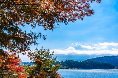 Dağ fuji ile akçaağaç yaprağı ağacın etrafında güzel manzara