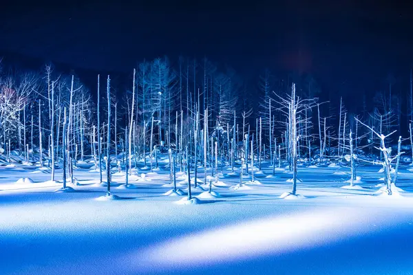 Beau paysage extérieur avec étang bleu rivière la nuit avec l — Photo